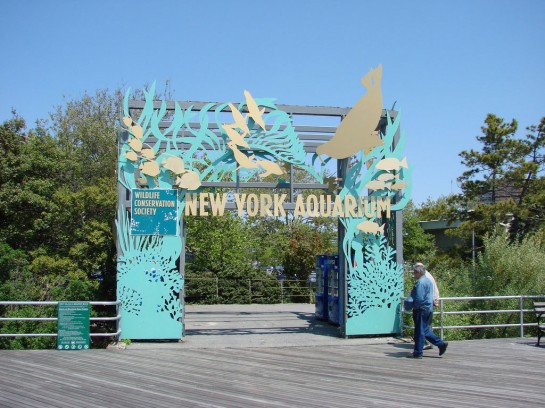 New York Akvárium - New York Aquarium