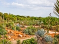 Mallorca - Botanicactus