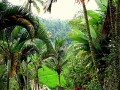 Bali - Gunung Kawi